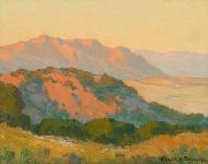 Maurice Braun